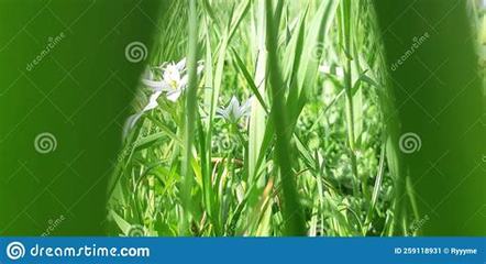 珠海網游推廣員怎么做_手游廠商top50:共創甜蜜游戲事業,享受成功滋味